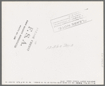 William Rall, FSA (Farm Security Administration) client standing amidst kaffir corn on his farm in Sheridan County, Kansas