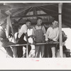 Boys in the judging stand watching the pie eating contest, 4-H Club fair, Cimarron, Kansas