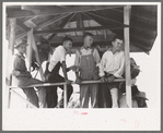 Boys in the judging stand watching the pie eating contest, 4-H Club fair, Cimarron, Kansas