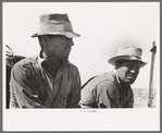 One of the Davidson brothers who own a cooperative well made possible by FSA (Farm Security Administration) loan, Gray County, Kansas