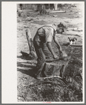 Son of Mr. Germeroth, FSA client, getting ready to cut off chicken head. Sheridan County, Kansas