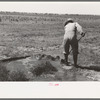 Mr. Johnson, F.S.A. client with part interest in cooperative well irrigating his fields near Syracuse, Kansas