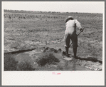 Mr. Johnson, F.S.A. client with part interest in cooperative well irrigating his fields near Syracuse, Kansas