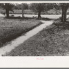 Sidewalk in Syracuse, Kansas. The level on the ground on either side of the sidewalk was the same as that of the concrete sidewalk a year ago. The raise in elevation is due to dust and dirt which drifted in