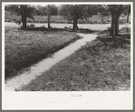 Sidewalk in Syracuse, Kansas. The level on the ground on either side of the sidewalk was the same as that of the concrete sidewalk a year ago. The raise in elevation is due to dust and dirt which drifted in
