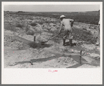 Mr. Johnson, FSA client with part interest in cooperative well using a makeshift dam of tumbleweeds and board in order to divert water from irrigation ditch to field, Syracuse, Kansas