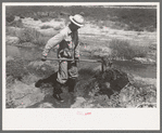 Mr. Johnson, FSA client, shovelling sediment out of the ditch to make the flow more rapid, Syracuse, Kansas