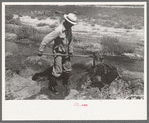Mr. Johnson, FSA client, shovelling sediment out of the ditch to make the flow more rapid, Syracuse, Kansas