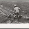 Mr. Johnson, FSA client with part interest in cooperative well using a makeshift dam of tumbleweeds and board in order to divert water from irrigation ditch to field, Syracuse, Kansas