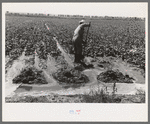 Mr. Johnson, FSA client with part interest in cooperative well irrigating sugar beets. Syracuse, Kansas