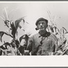 Mr. Wright, tenant farmer of Mr. Johnson in cooperative with him in irrigation well, standing amidst the corn he has raised this year. Syracuse, Kansas
