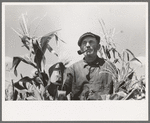 Mr. Wright, tenant farmer of Mr. Johnson in cooperative with him in irrigation well, standing amidst the corn he has raised this year. Syracuse, Kansas