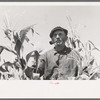 Mr. Wright, tenant farmer of Mr. Johnson in cooperative with him in irrigation well, standing amidst the corn he has raised this year. Syracuse, Kansas
