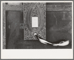 Plaque announcing the death of person. Display on screen door of grocery store in town near Syracuse, Kansas