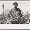 Mr. Wright, tennant farmer of Mr. Johnson who gave equal interest in cooperative well, standing amidst field of Kaffir corn near Syracuse, Kansas