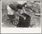 Spanish-American FSA client client emptying pail of grease into kettle for purpose of making soap, Taos County, New Mexico