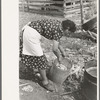 Spanish-American FSA client breaking up solidified grease before using it in soap making, Taos County, New Mexico