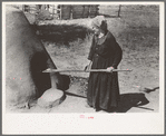 Spanish-American woman testing temperature of earthen oven by determining length of time required to scorch wool. Taos County, New Mexico