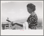 Spanish-American FSA client testing soap on end of stirring stick to see if it has cooked enough, Taos County, New Mexico