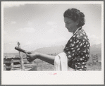 Spanish-American FSA client testing soap on end of stirring stick to see if it has cooked enough, Taos County, New Mexico