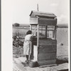 Daughter of Spanish-American farm family drawing water at the well, Taos County, New Mexico