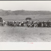 Cowboys driving cows down rodeo grounds, Bean Day, Wagon Mound, N.M