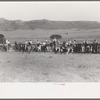 Cowboys driving cows down rodeo grounds, Bean Day, Wagon Mound, N.M