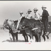 Judges at Bean Day rodeo, Wagon Mound, N.M
