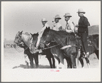 Judges at Bean Day rodeo, Wagon Mound, N.M
