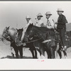 Judges at Bean Day rodeo, Wagon Mound, N.M