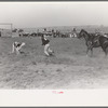 Cowboy running to tie calf after he has roped him, Bean Day rodeo, Wagon Mound, N.M