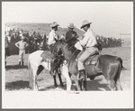 Conference of judges, Bean Day, Wagon Mound, N.M