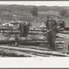 Farmers snaking out a log from a pile of timber on farm near Bradford, Vermont