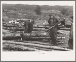 Farmers snaking out a log from a pile of timber on farm near Bradford, Vermont