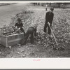 Boy raking up leaves on front lawn, Bradford, Vermont