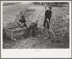 Boy raking up leaves on front lawn, Bradford, Vermont