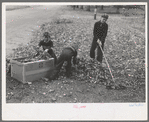 Boy raking up leaves on front lawn, Bradford, Vermont