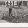 Boy raking and gathering leaves on front lawn, Bradford, Vermont