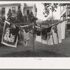 Clothes hanging on drying tree in backyard, Meriden, Conn