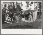 Clothes hanging on drying tree in backyard, Meriden, Conn