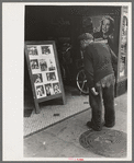 Old man looking at stills of Joe Lewis fight picture, Windsor Locks, Conn