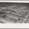 Migrant camp under construction, Sinton, Texas