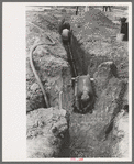 Laying sewer pipe in migrant camp in Sinton, Texas