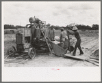 Dumping materials into concrete mixer at migrant camp under construction at Sinton, Texas