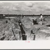 Laying sewer pipe at migrant camp under construction at Sinton, Texas