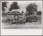 Farmer moving in wagon from farm to a new farm. He had stopped for rest and repair along roadside in Smith County, Texas