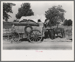 Farmer moving in wagon from farm to a new farm. He had stopped for rest and repair along roadside in Smith County, Texas