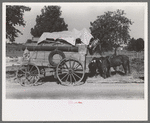 Farmer moving in wagon from farm to a new farm. He had stopped for rest and repair along roadside in Smith County, Texas