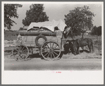 Farmer moving in wagon from farm to a new farm. He had stopped for rest and repair along roadside in Smith County, Texas