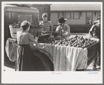 Selling apples, Jacksonville, Texas